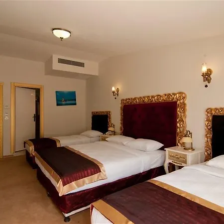 Vali Hotel 3*
